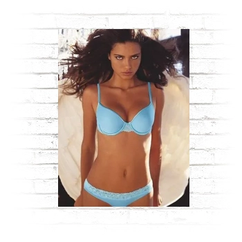 Adriana Lima Poster