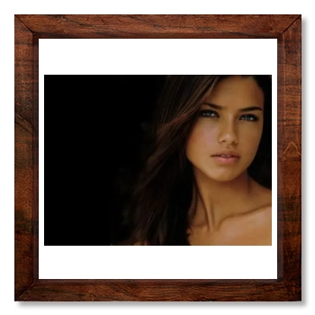 Adriana Lima 12x12