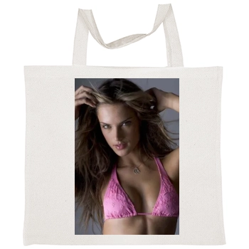 Alessandra Ambrosio Tote