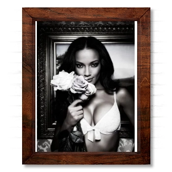 Selita Ebanks 14x17