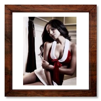 Selita Ebanks 12x12