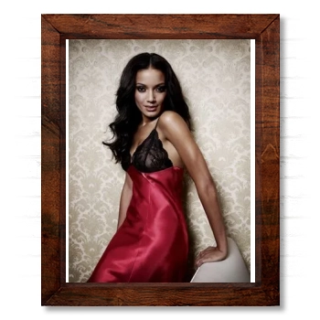 Selita Ebanks 14x17