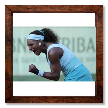 Serena Williams 12x12