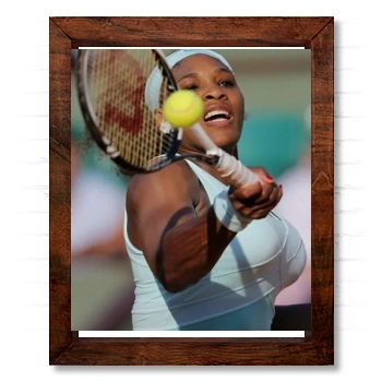 Serena Williams 14x17