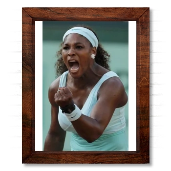 Serena Williams 14x17