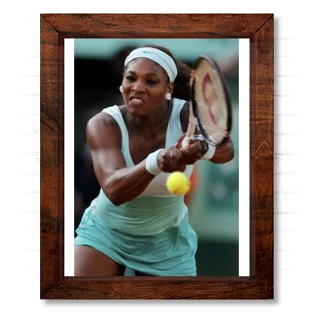 Serena Williams 14x17