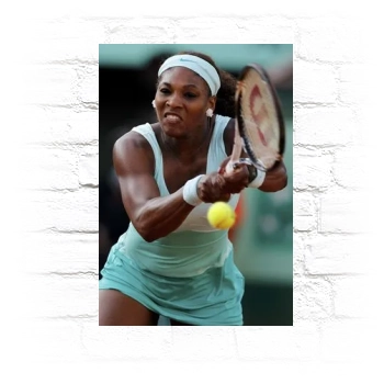 Serena Williams Metal Wall Art