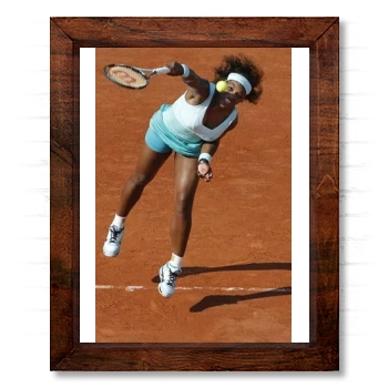 Serena Williams 14x17