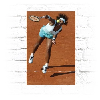 Serena Williams Metal Wall Art