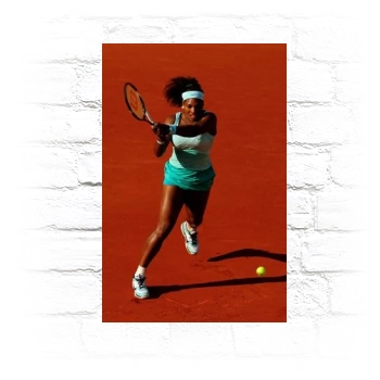 Serena Williams Metal Wall Art