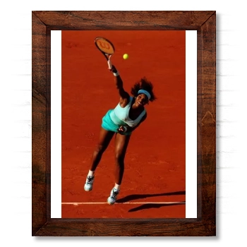 Serena Williams 14x17