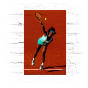 Serena Williams Metal Wall Art