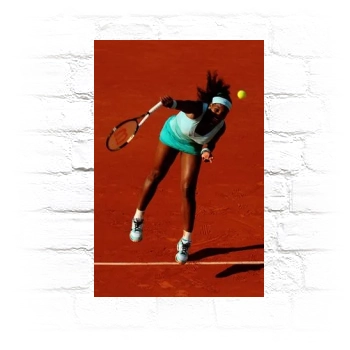 Serena Williams Metal Wall Art