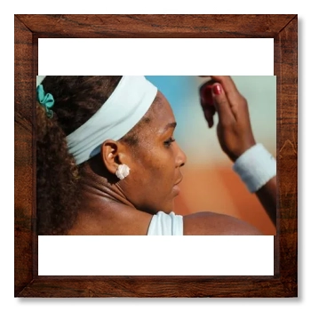 Serena Williams 12x12