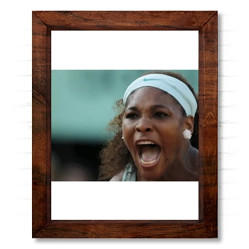 Serena Williams 14x17