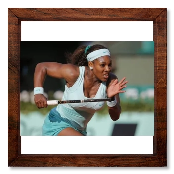 Serena Williams 12x12