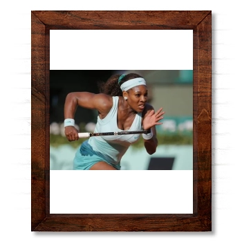 Serena Williams 14x17