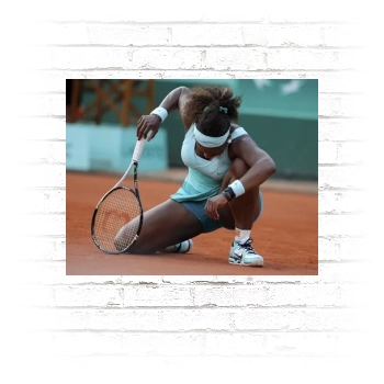 Serena Williams Poster