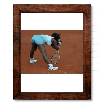 Serena Williams 14x17