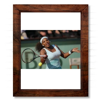 Serena Williams 14x17