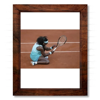 Serena Williams 14x17