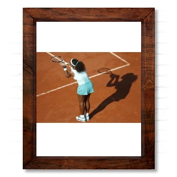 Serena Williams 14x17