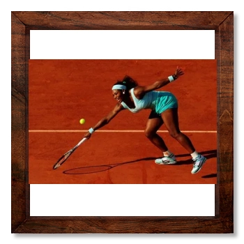 Serena Williams 12x12