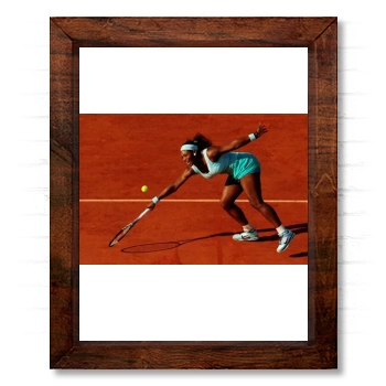 Serena Williams 14x17