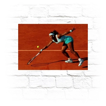 Serena Williams Metal Wall Art