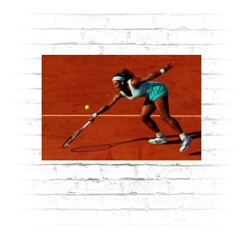 Serena Williams Poster