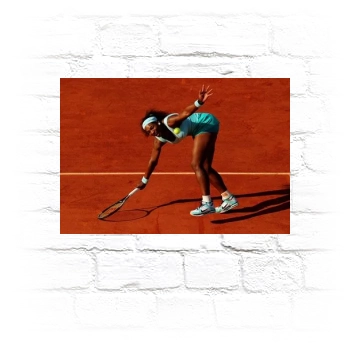 Serena Williams Metal Wall Art