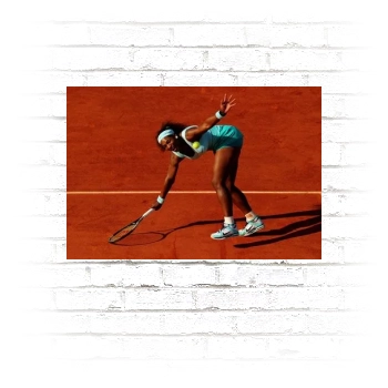 Serena Williams Poster