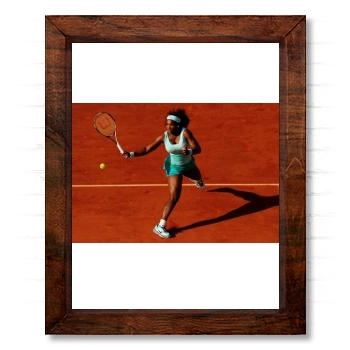 Serena Williams 14x17