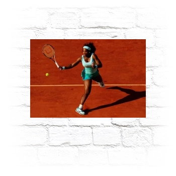 Serena Williams Metal Wall Art