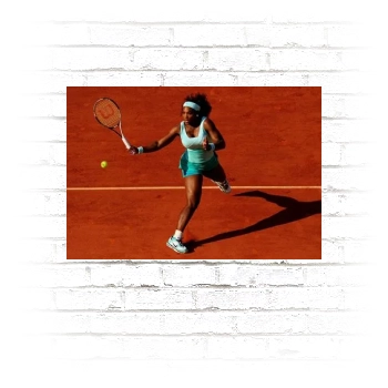 Serena Williams Poster