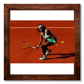 Serena Williams 12x12