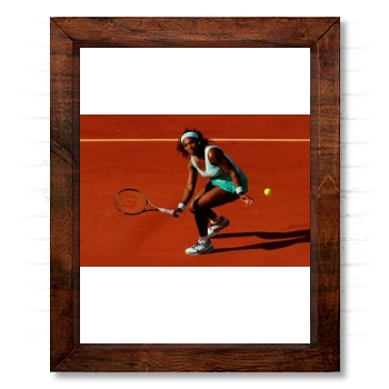 Serena Williams 14x17