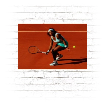 Serena Williams Poster