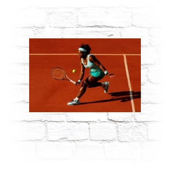 Serena Williams Metal Wall Art