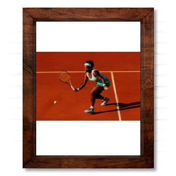 Serena Williams 14x17