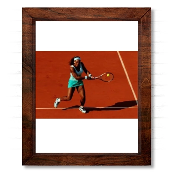 Serena Williams 14x17