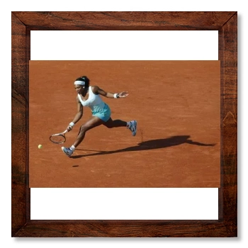 Serena Williams 12x12