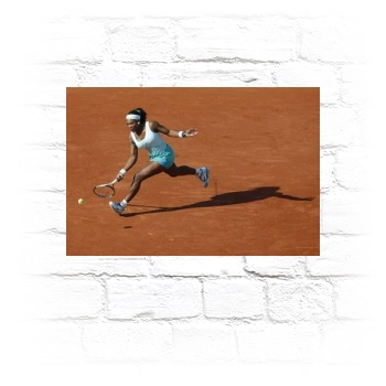 Serena Williams Metal Wall Art