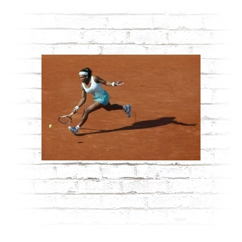 Serena Williams Poster