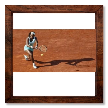 Serena Williams 12x12