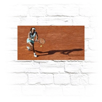 Serena Williams Metal Wall Art