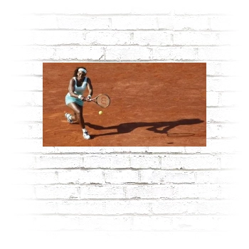 Serena Williams Poster