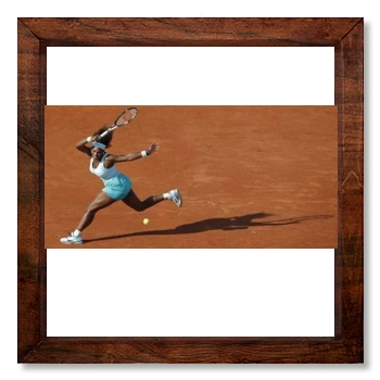 Serena Williams 12x12