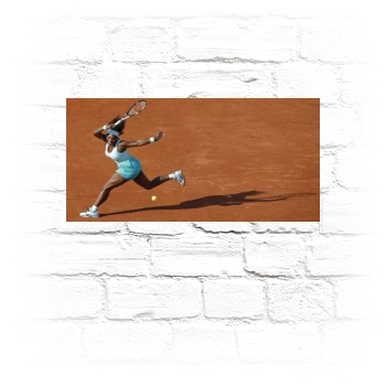 Serena Williams Metal Wall Art