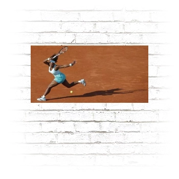 Serena Williams Poster